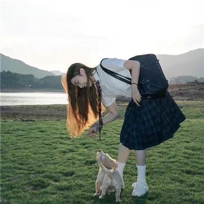 秋田犬蓬夫